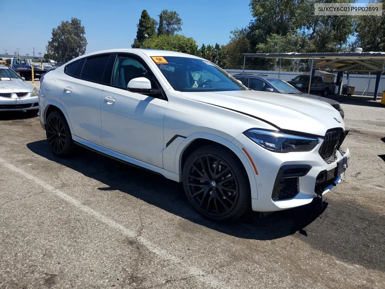 2023 BMW X6 xDrive40I VIN: 5UXCY6C01P9P02899 Lot: 58840446