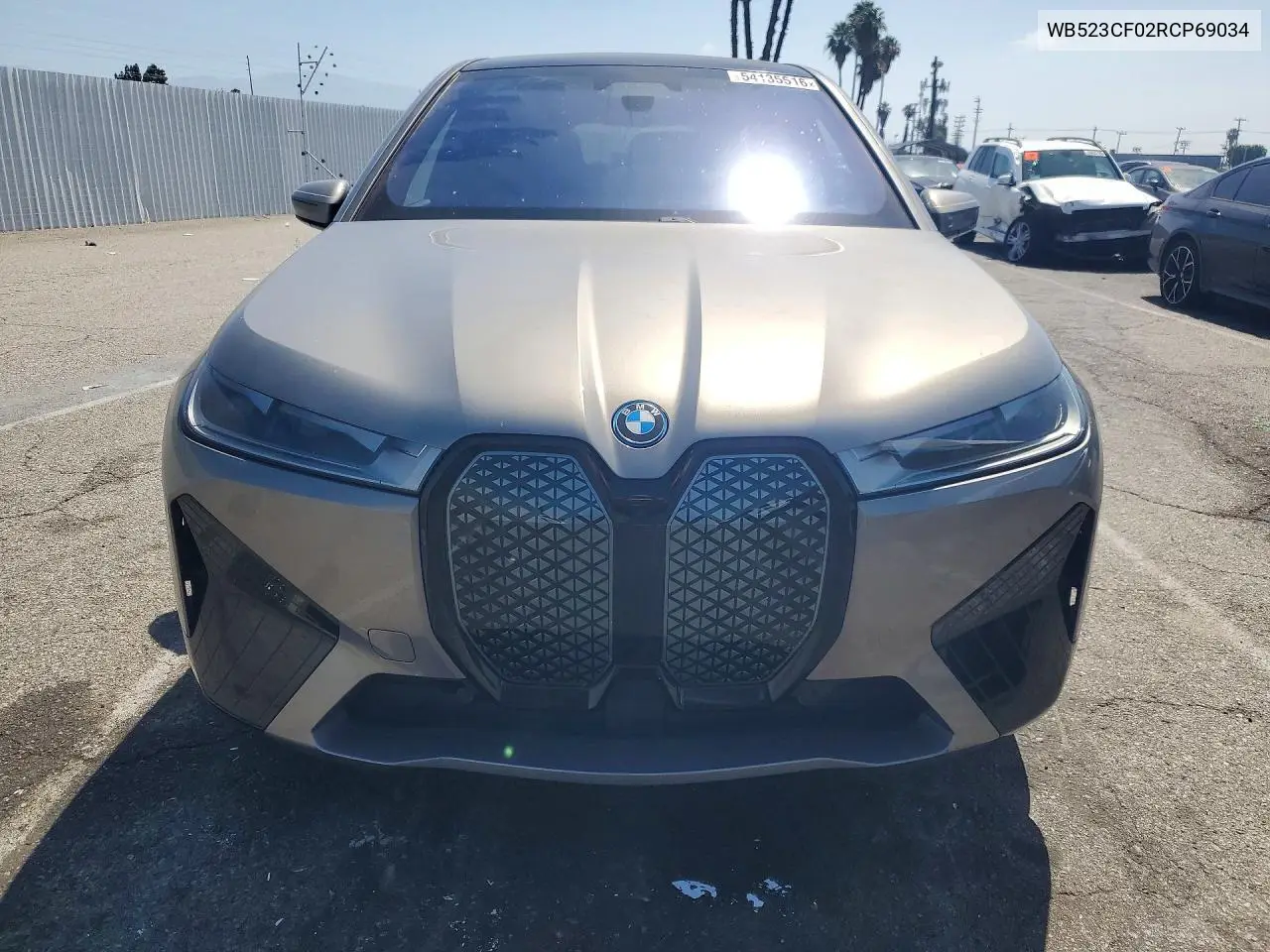 2024 BMW Ix xDrive50 VIN: WB523CF02RCP69034 Lot: 54135516