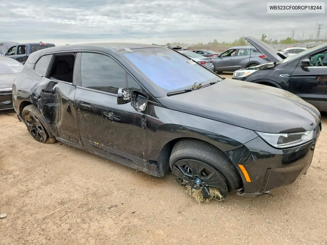 2024 BMW Ix xDrive50 VIN: WB523CF00RCP18244 Lot: 54310926