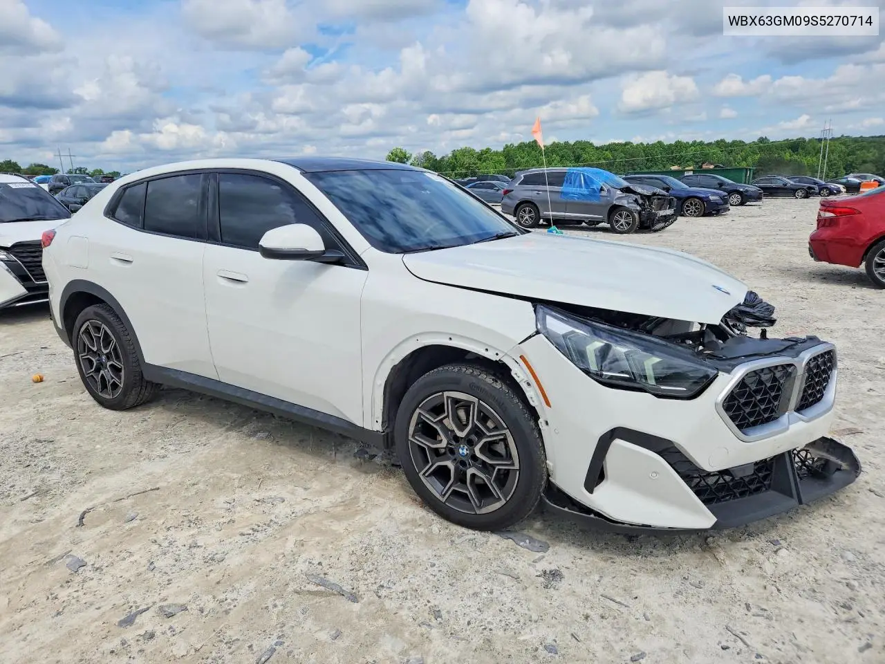 2025 BMW X2 xDrive28I VIN: WBX63GM09S5270714 Lot: 55144746