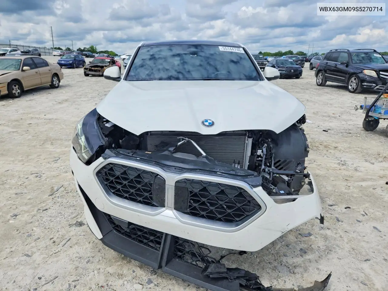 2025 BMW X2 xDrive28I VIN: WBX63GM09S5270714 Lot: 55144746