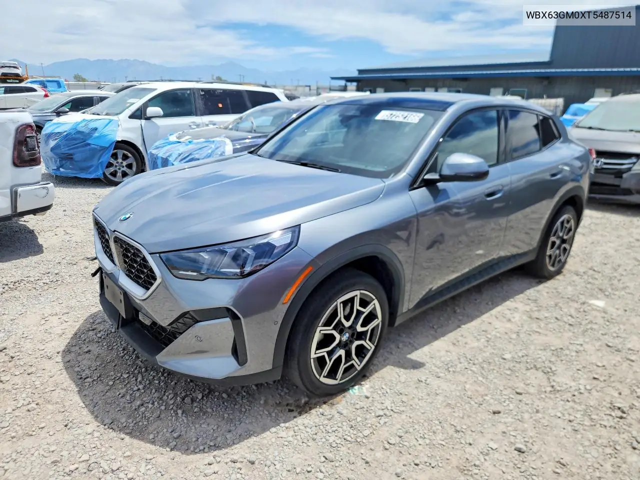 2026 BMW X2 xDrive28I VIN: WBX63GM0XT5487514 Lot: 57252166