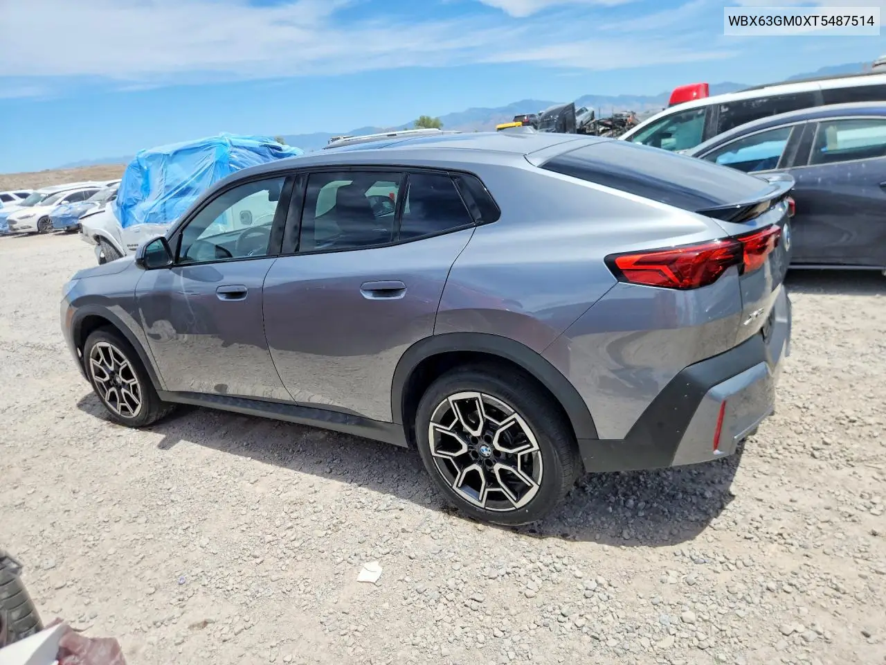 2026 BMW X2 xDrive28I VIN: WBX63GM0XT5487514 Lot: 57252166