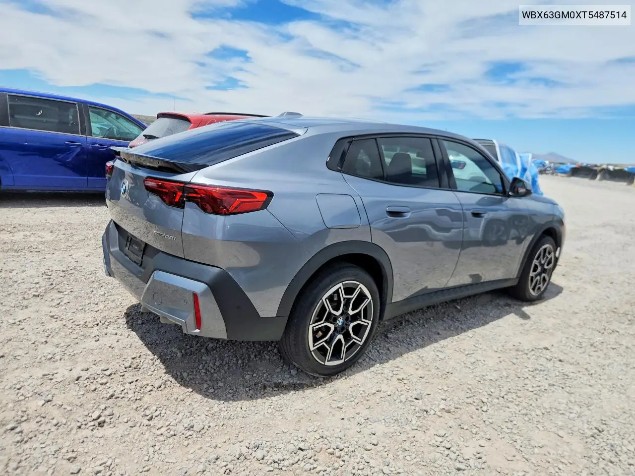 2026 BMW X2 xDrive28I VIN: WBX63GM0XT5487514 Lot: 57252166
