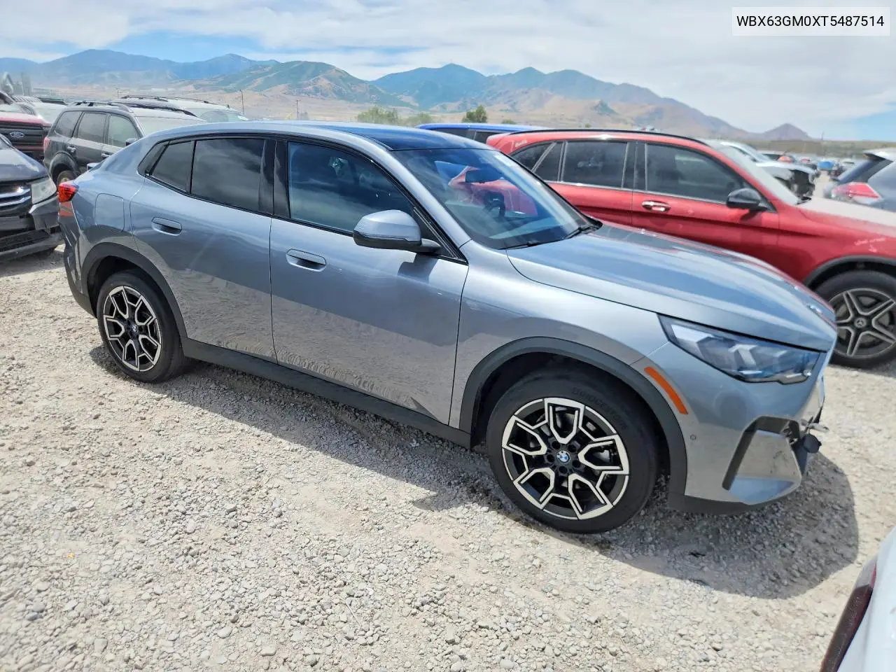 2026 BMW X2 xDrive28I VIN: WBX63GM0XT5487514 Lot: 57252166
