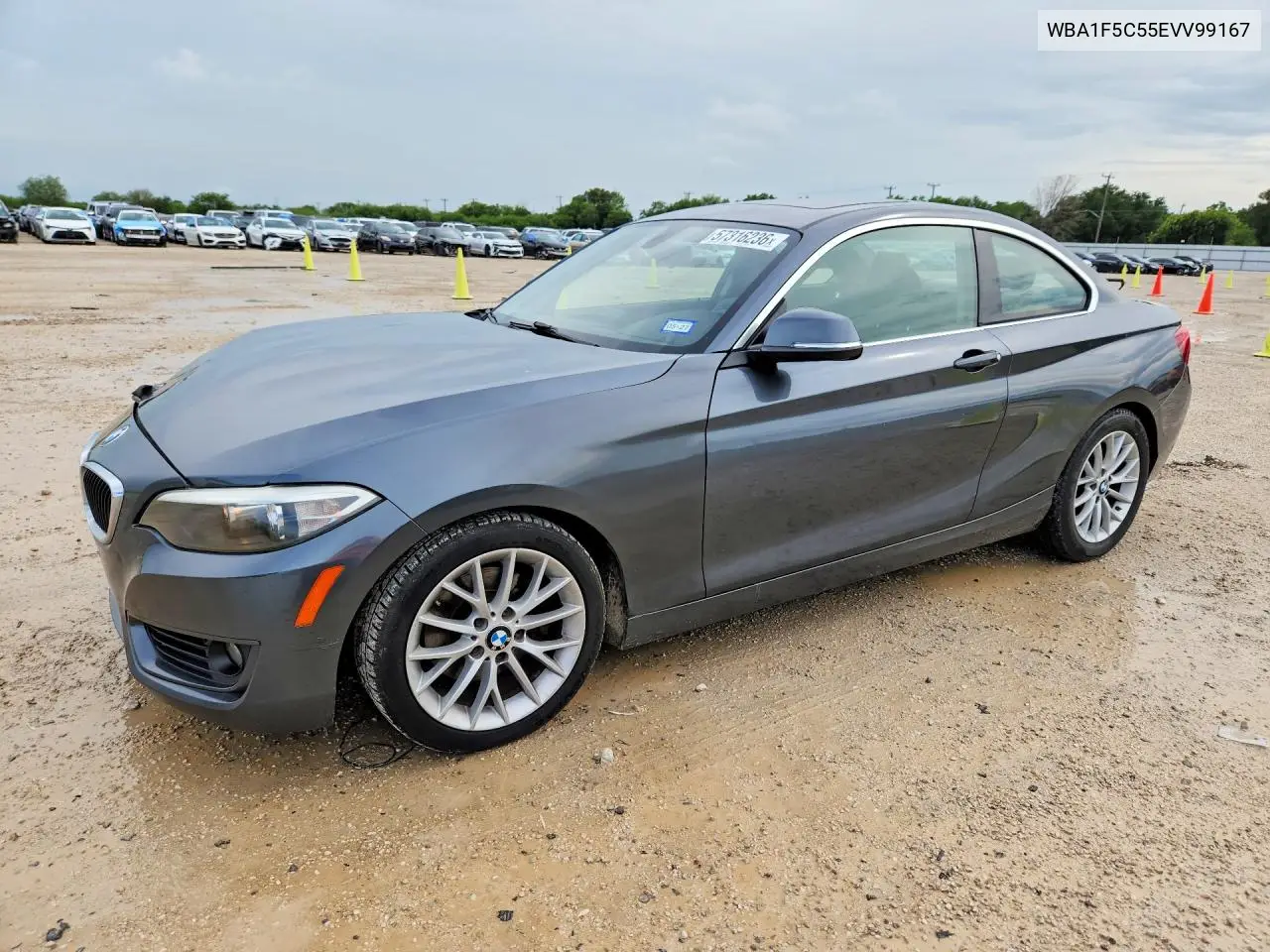 2014 BMW 228 I VIN: WBA1F5C55EVV99167 Lot: 57316236