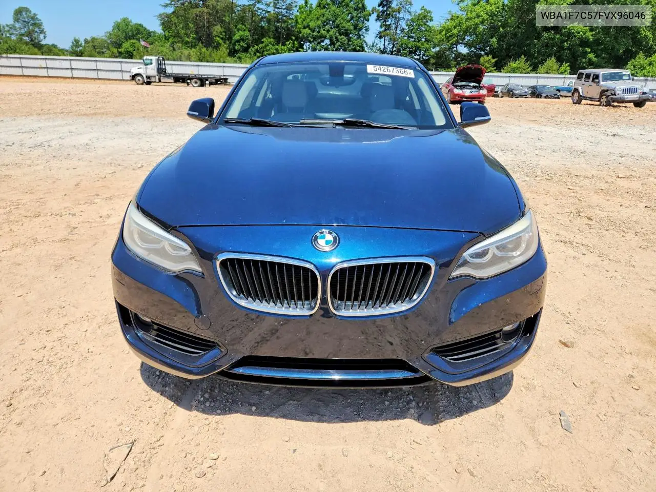 2015 BMW 228 Xi VIN: WBA1F7C57FVX96046 Lot: 54267366