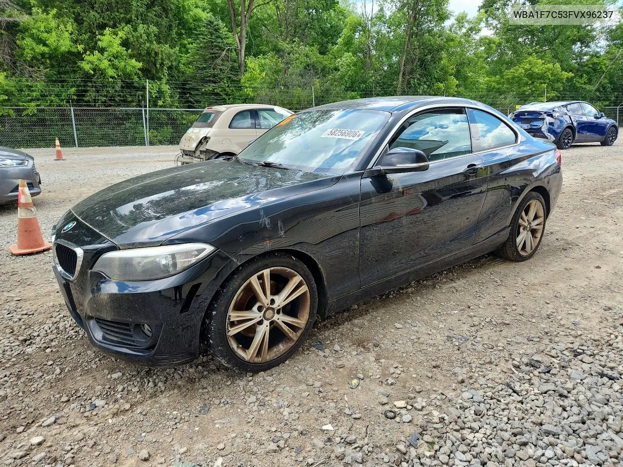2015 BMW 228 Xi VIN: WBA1F7C53FVX96237 Lot: 58256906