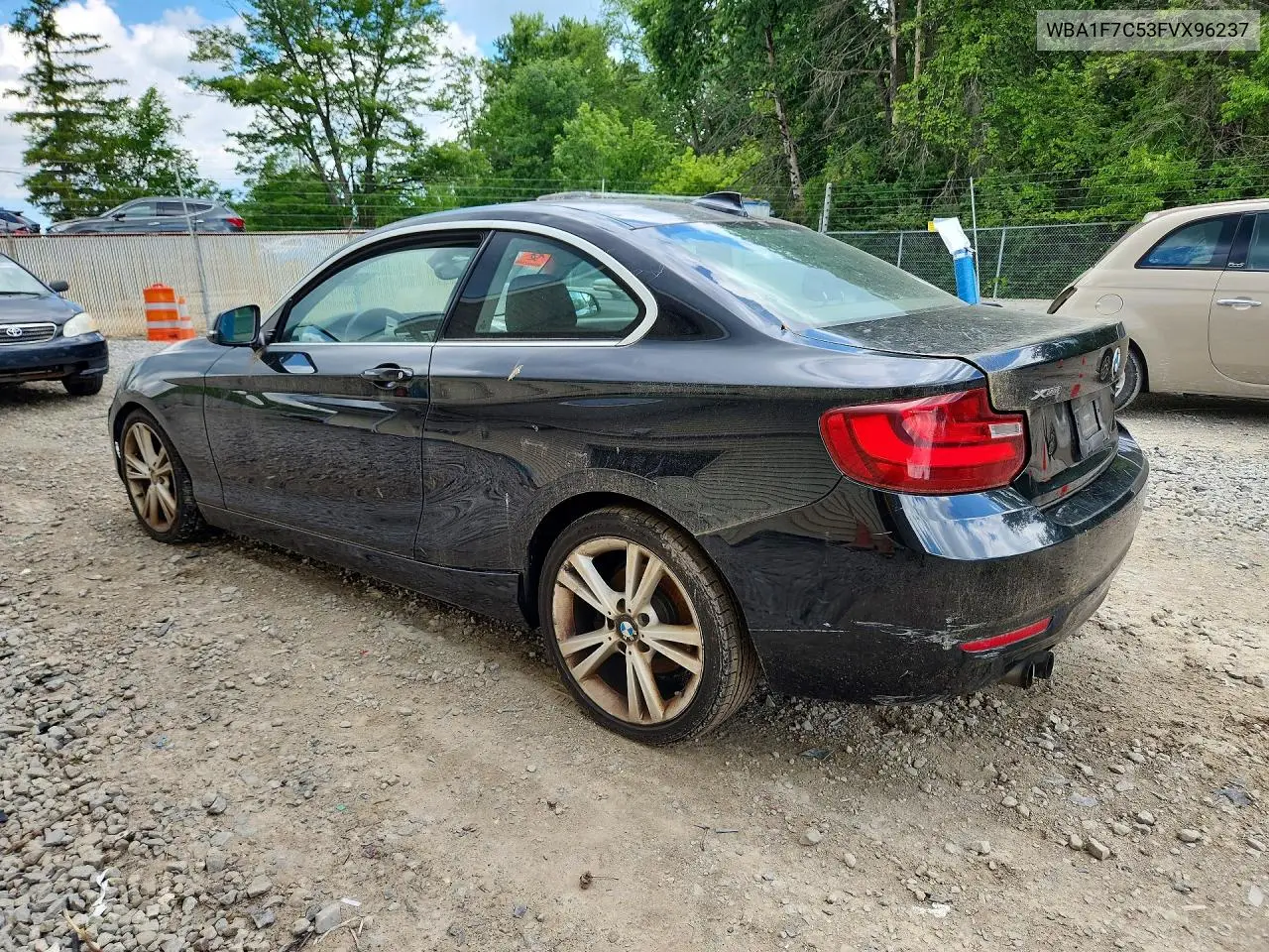 2015 BMW 228 Xi VIN: WBA1F7C53FVX96237 Lot: 58256906