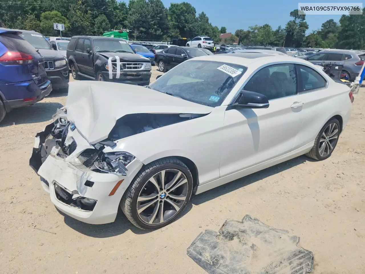 2015 BMW 228 Xi Sulev VIN: WBA1G9C57FVX96766 Lot: 58620386
