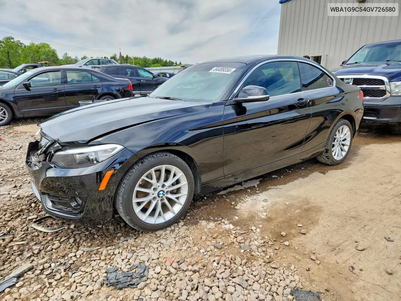 2016 BMW 228 Xi Sulev VIN: WBA1G9C54GV726580 Lot: 54489356