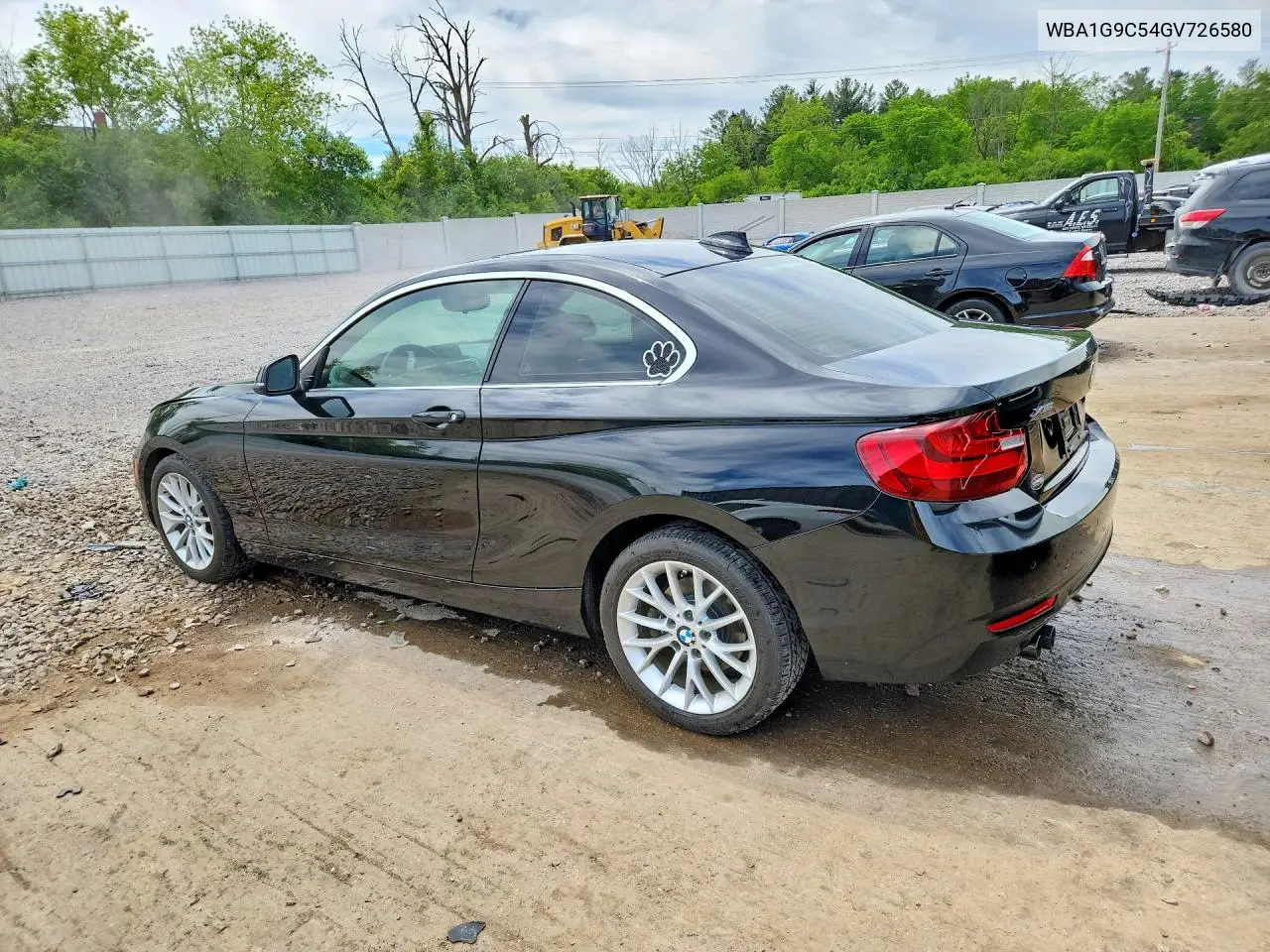 2016 BMW 228 Xi Sulev VIN: WBA1G9C54GV726580 Lot: 54489356