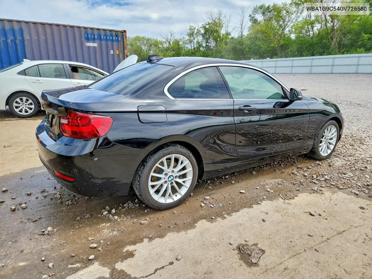 2016 BMW 228 Xi Sulev VIN: WBA1G9C54GV726580 Lot: 54489356