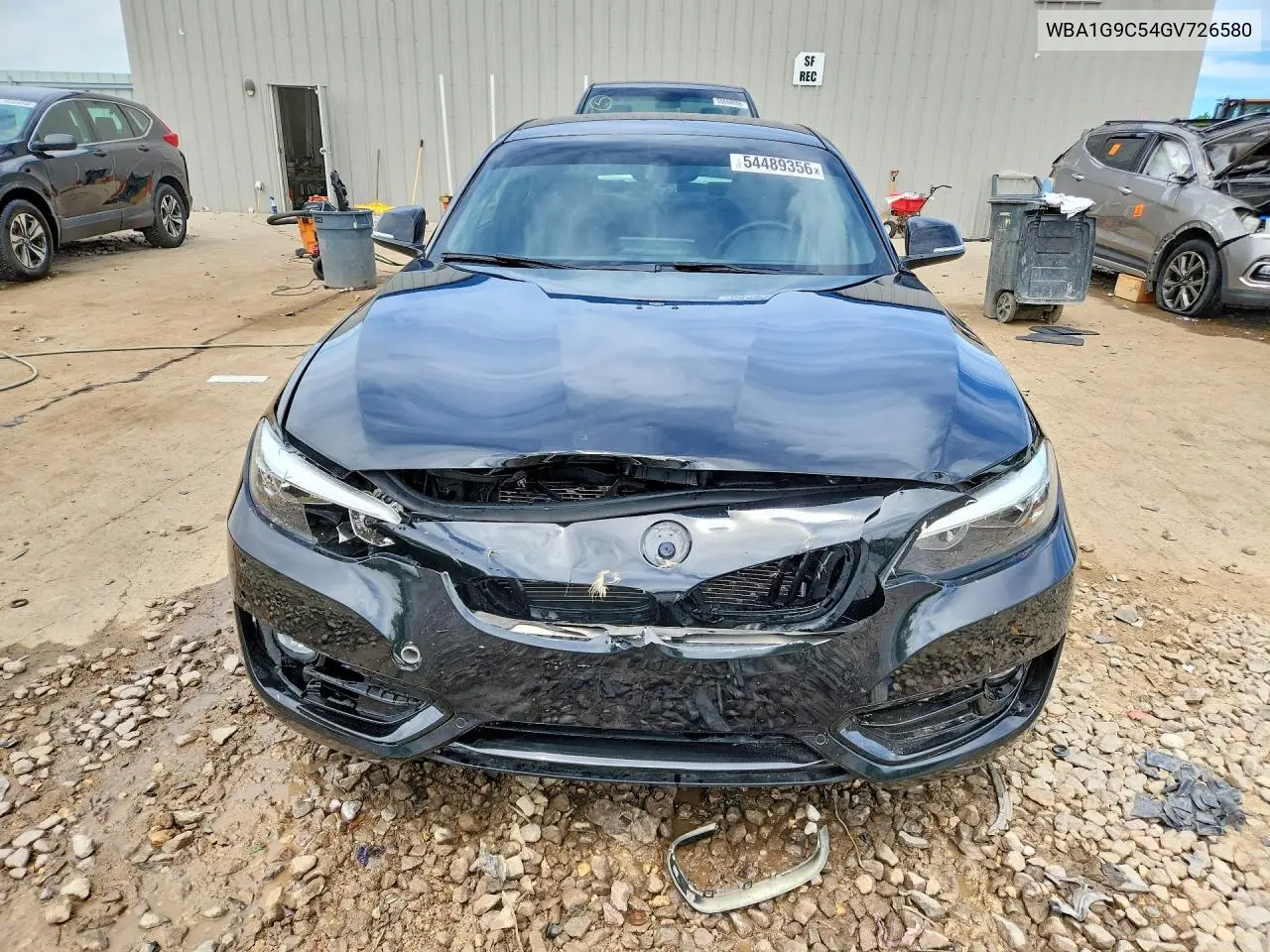 2016 BMW 228 Xi Sulev VIN: WBA1G9C54GV726580 Lot: 54489356