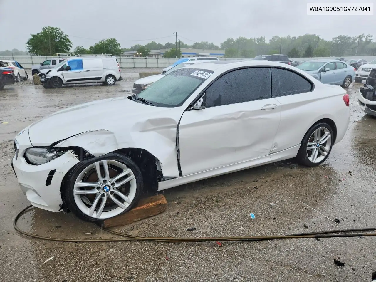 2016 BMW 228 Xi Sulev VIN: WBA1G9C51GV727041 Lot: 54696106