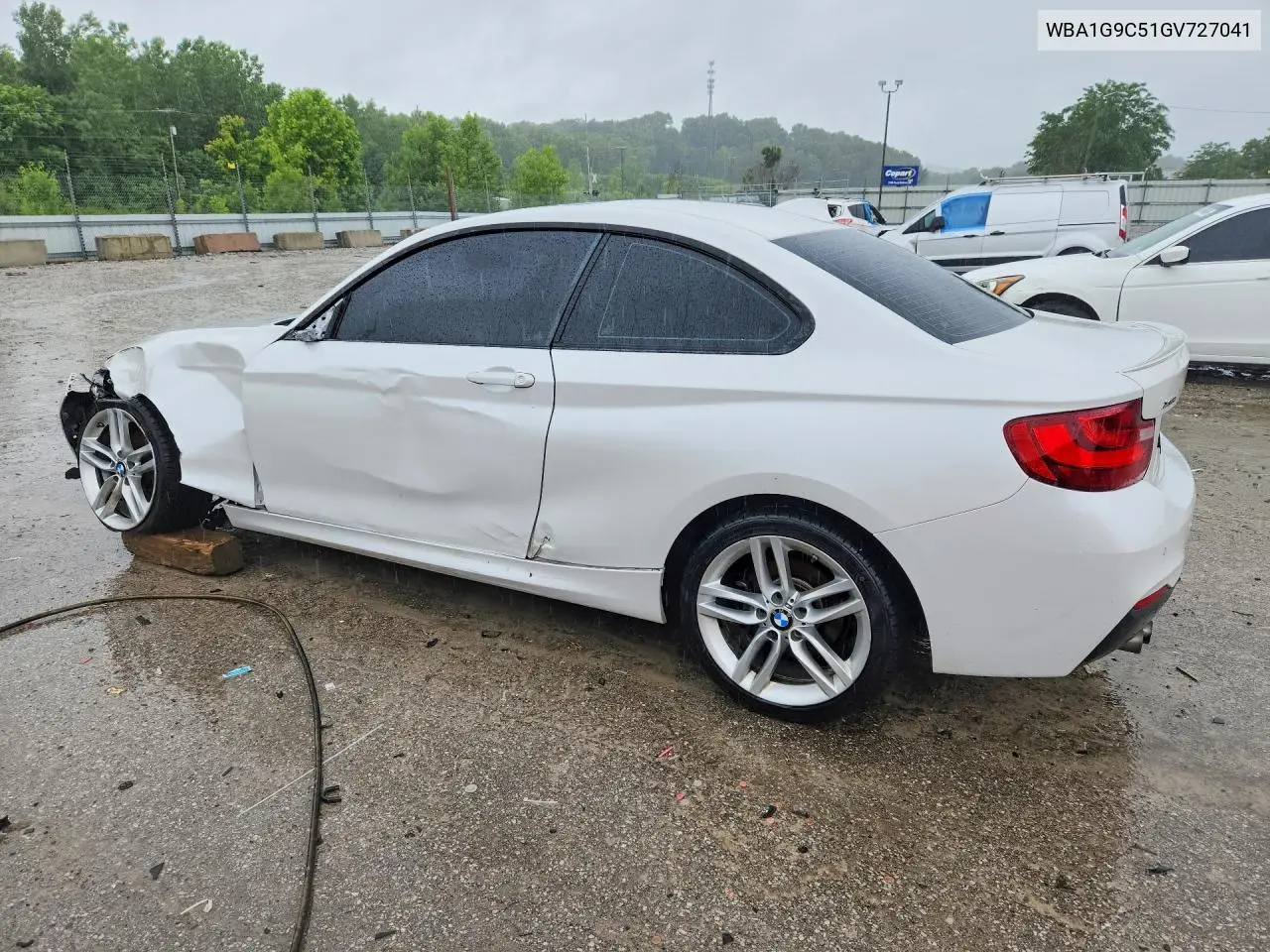 2016 BMW 228 Xi Sulev VIN: WBA1G9C51GV727041 Lot: 54696106