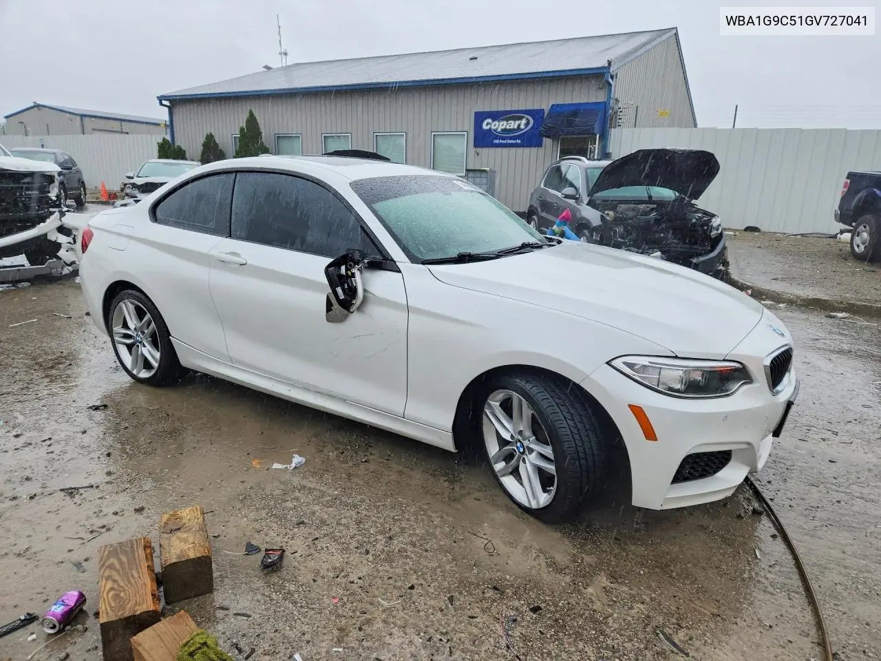 2016 BMW 228 Xi Sulev VIN: WBA1G9C51GV727041 Lot: 54696106