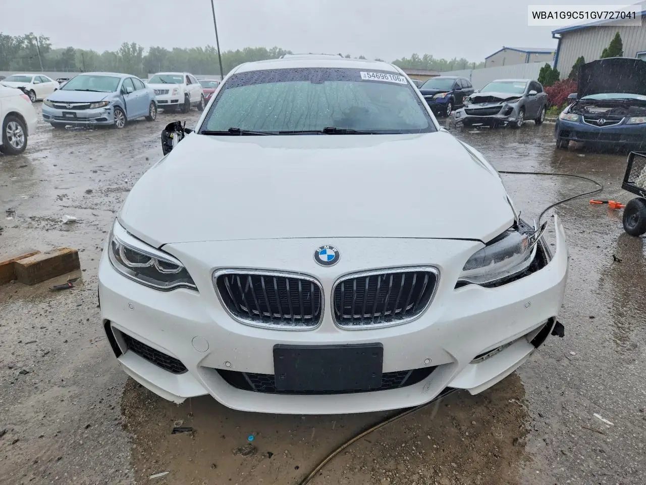 2016 BMW 228 Xi Sulev VIN: WBA1G9C51GV727041 Lot: 54696106