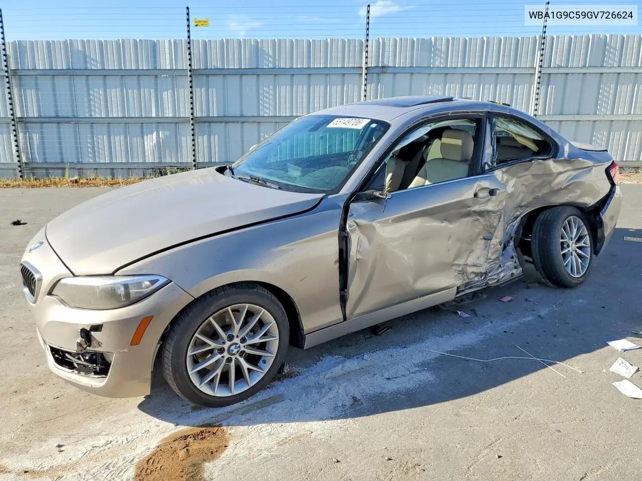 2016 BMW 228 Xi Sulev VIN: WBA1G9C59GV726624 Lot: 55149706