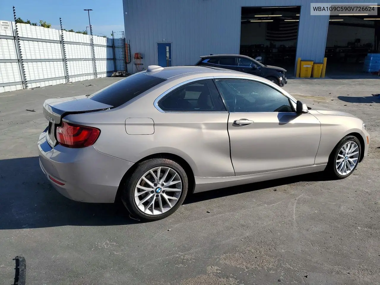 2016 BMW 228 Xi Sulev VIN: WBA1G9C59GV726624 Lot: 55149706