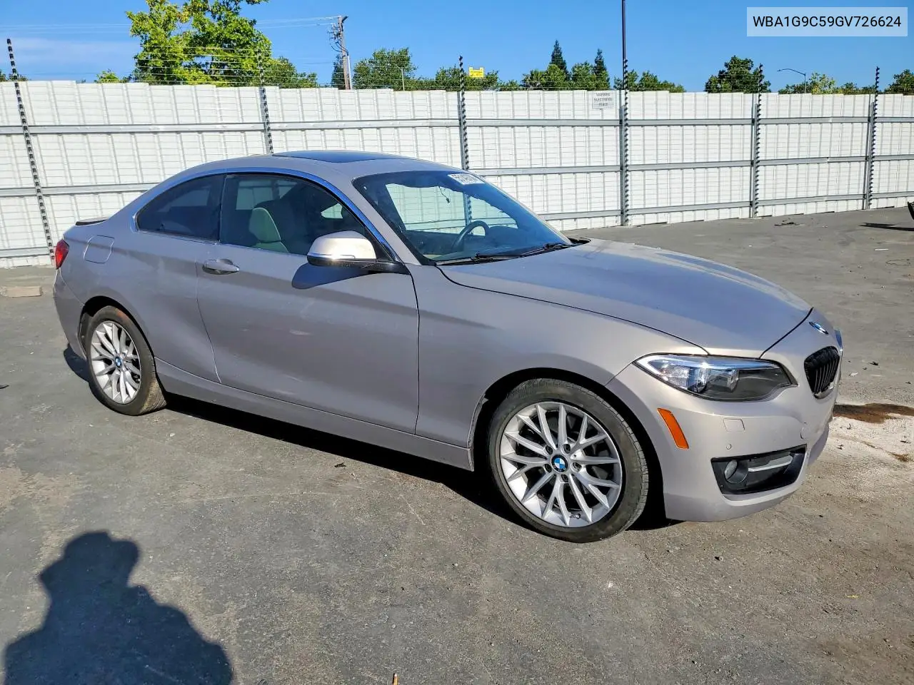 2016 BMW 228 Xi Sulev VIN: WBA1G9C59GV726624 Lot: 55149706