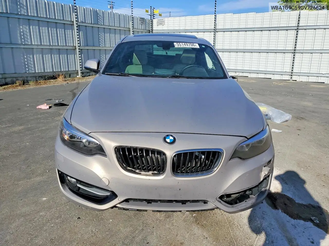 2016 BMW 228 Xi Sulev VIN: WBA1G9C59GV726624 Lot: 55149706