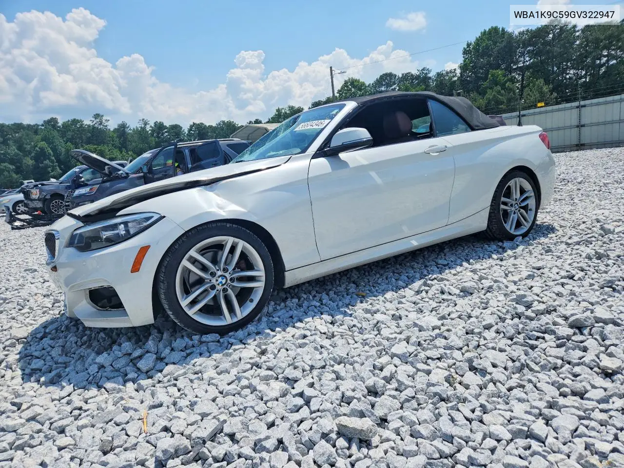 2016 BMW 228 I Sulev VIN: WBA1K9C59GV322947 Lot: 56604346