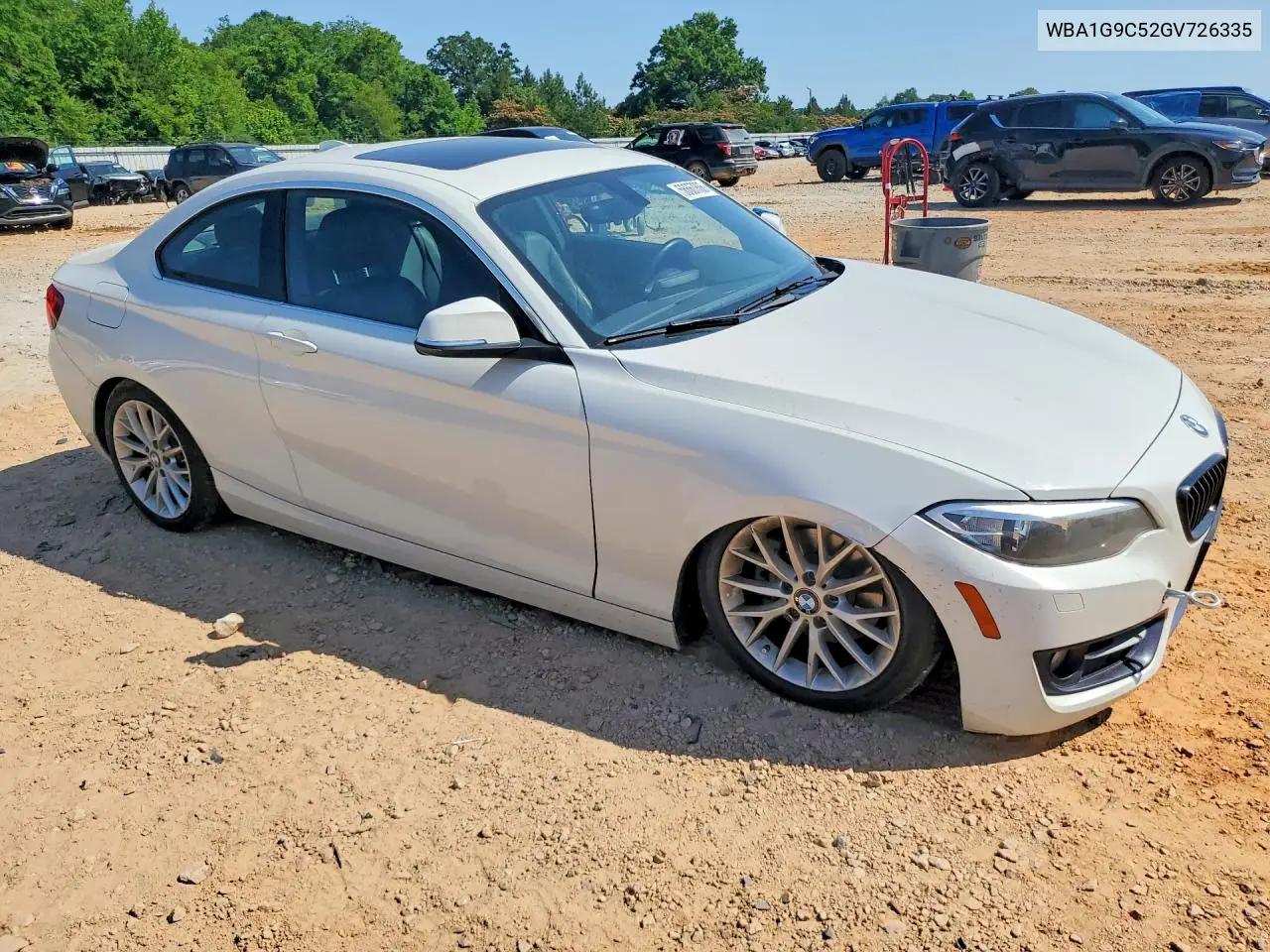 2016 BMW 228 Xi Sulev VIN: WBA1G9C52GV726335 Lot: 56667866