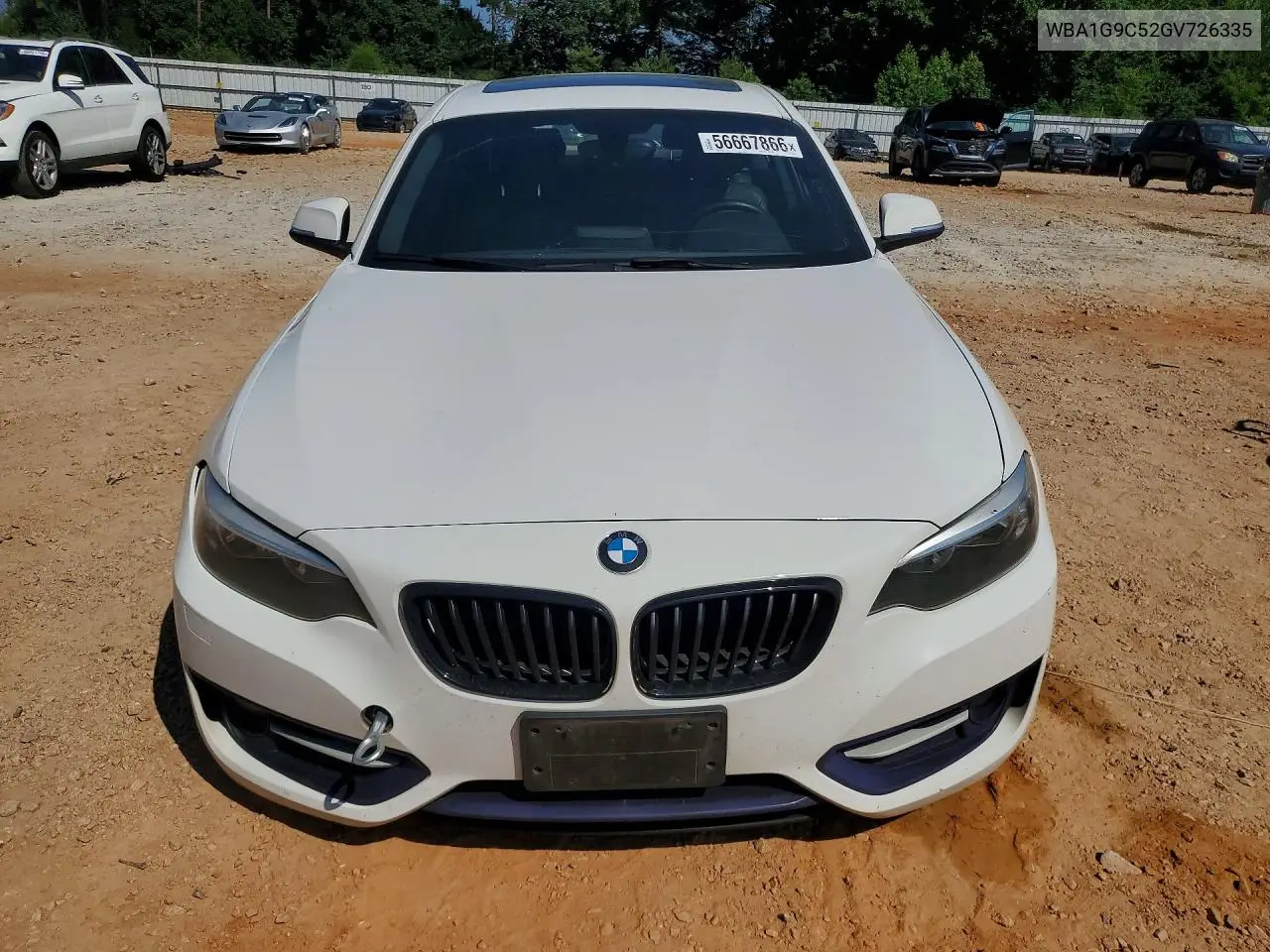 2016 BMW 228 Xi Sulev VIN: WBA1G9C52GV726335 Lot: 56667866