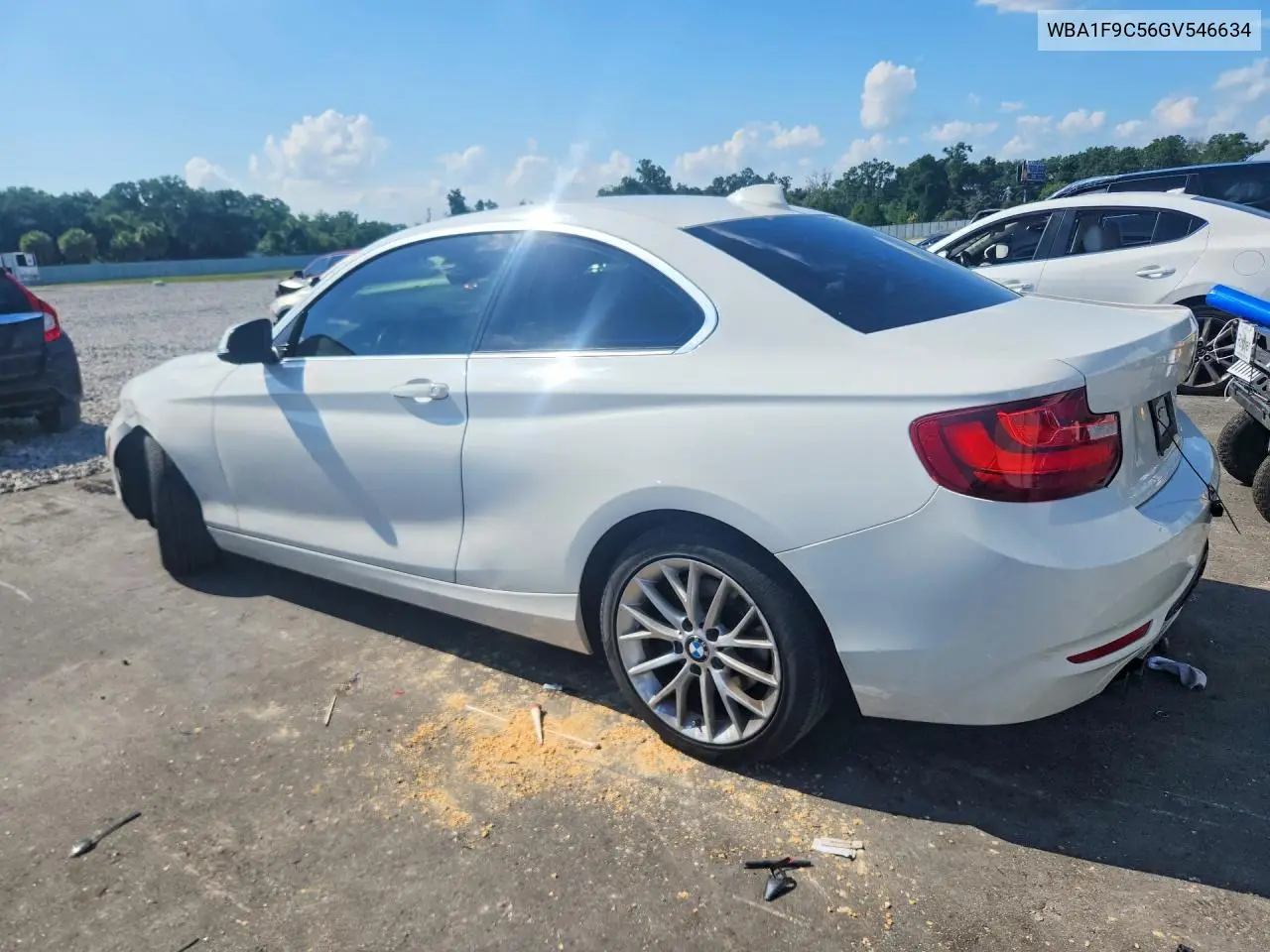 2016 BMW 228 I Sulev VIN: WBA1F9C56GV546634 Lot: 57200246