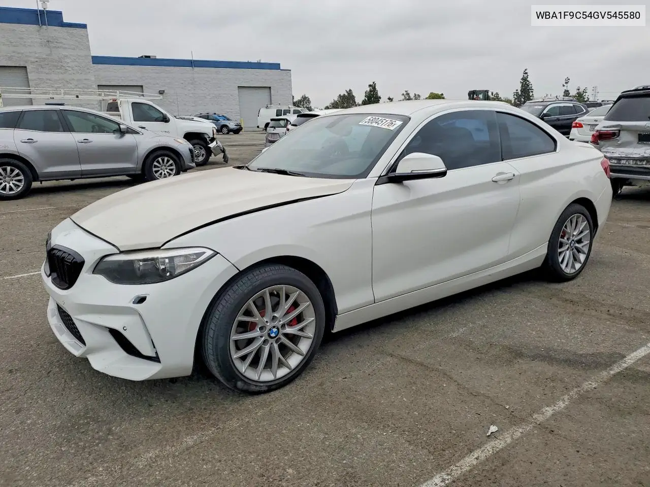 2016 BMW 228 I Sulev VIN: WBA1F9C54GV545580 Lot: 58045176