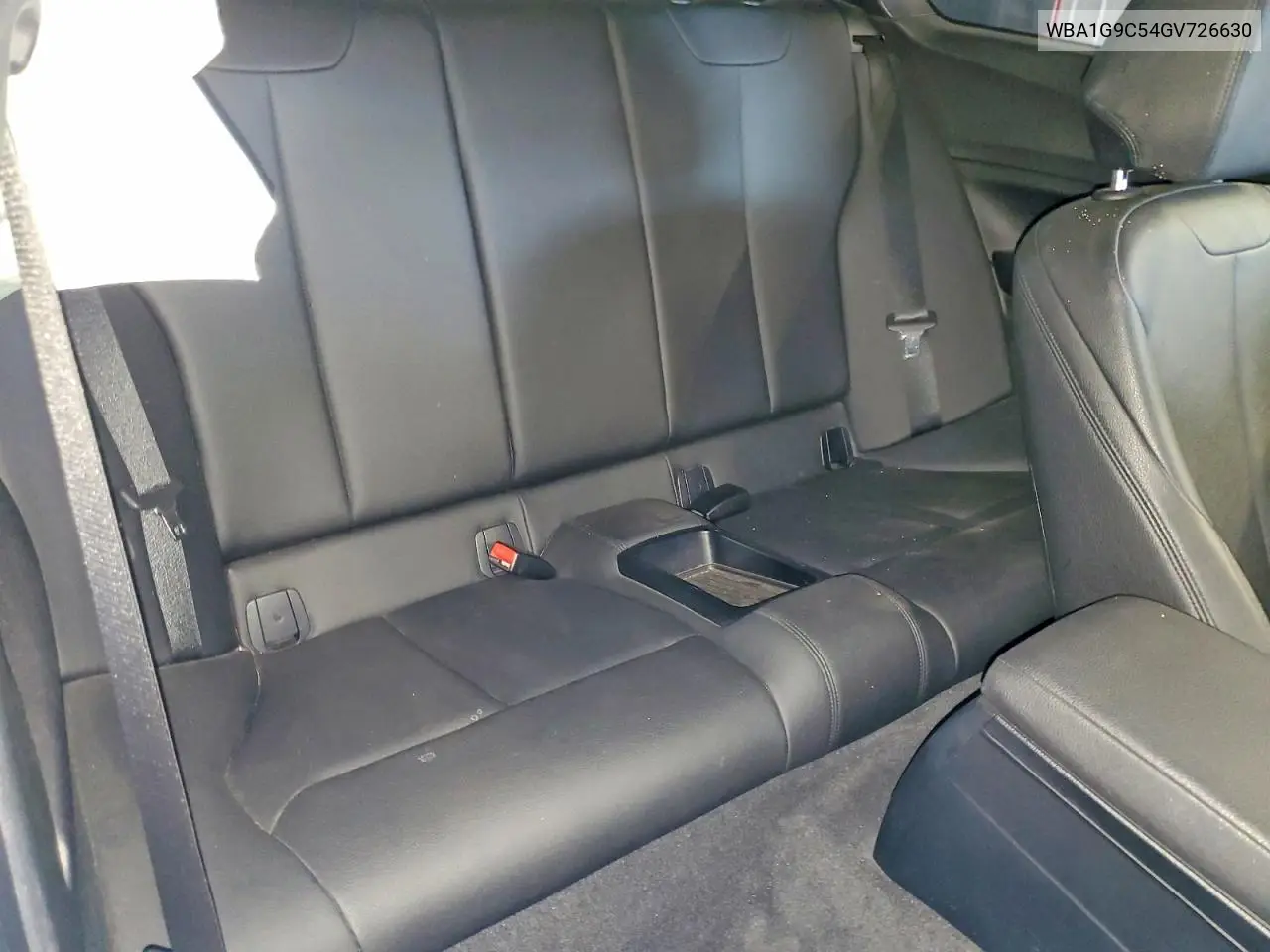 2016 BMW 228 Xi Sulev VIN: WBA1G9C54GV726630 Lot: 59266456