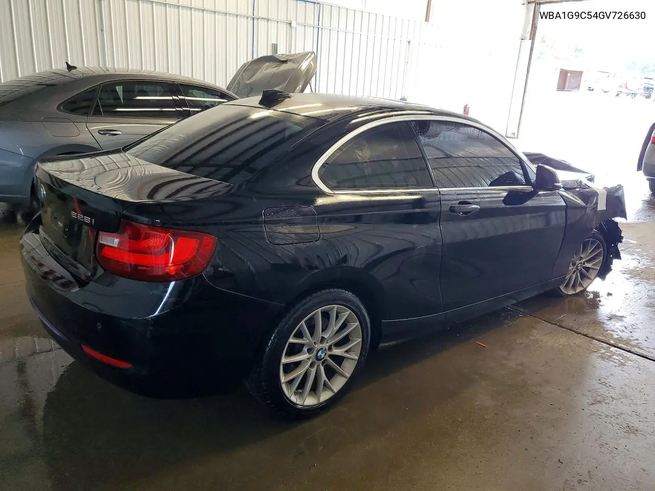 2016 BMW 228 Xi Sulev VIN: WBA1G9C54GV726630 Lot: 59266456