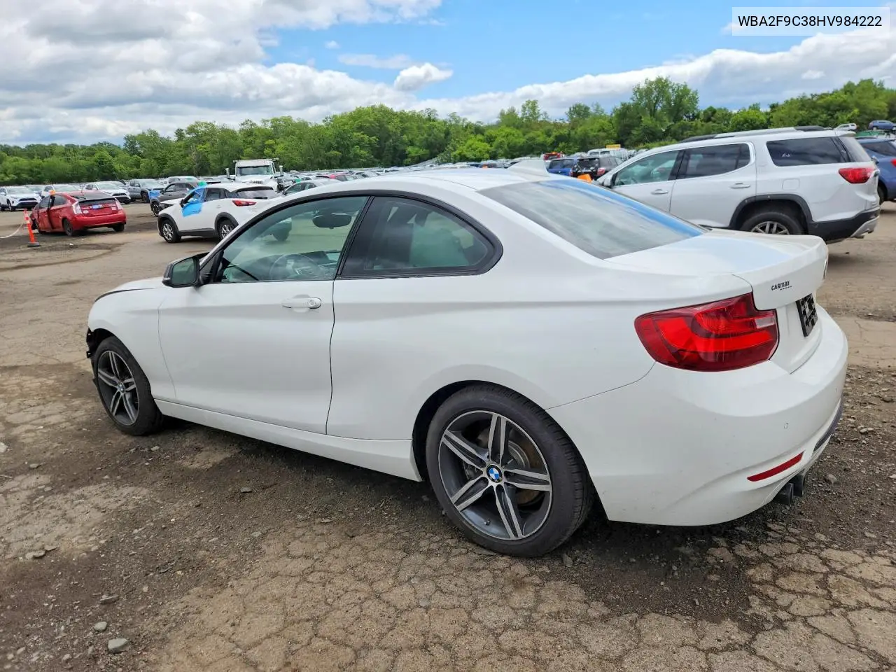 2017 BMW 230I VIN: WBA2F9C38HV984222 Lot: 55213296