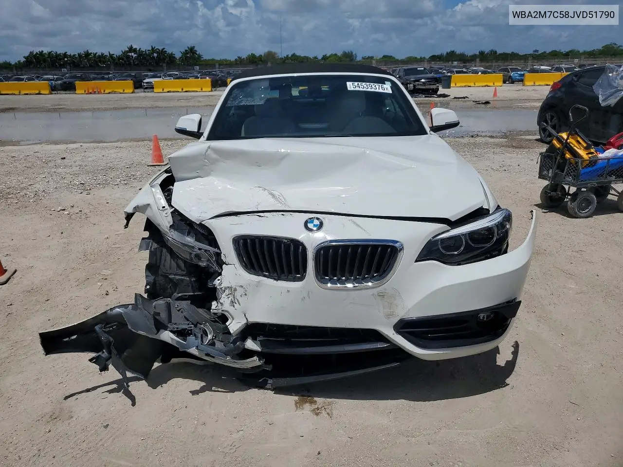 2018 BMW 230I VIN: WBA2M7C58JVD51790 Lot: 54539376