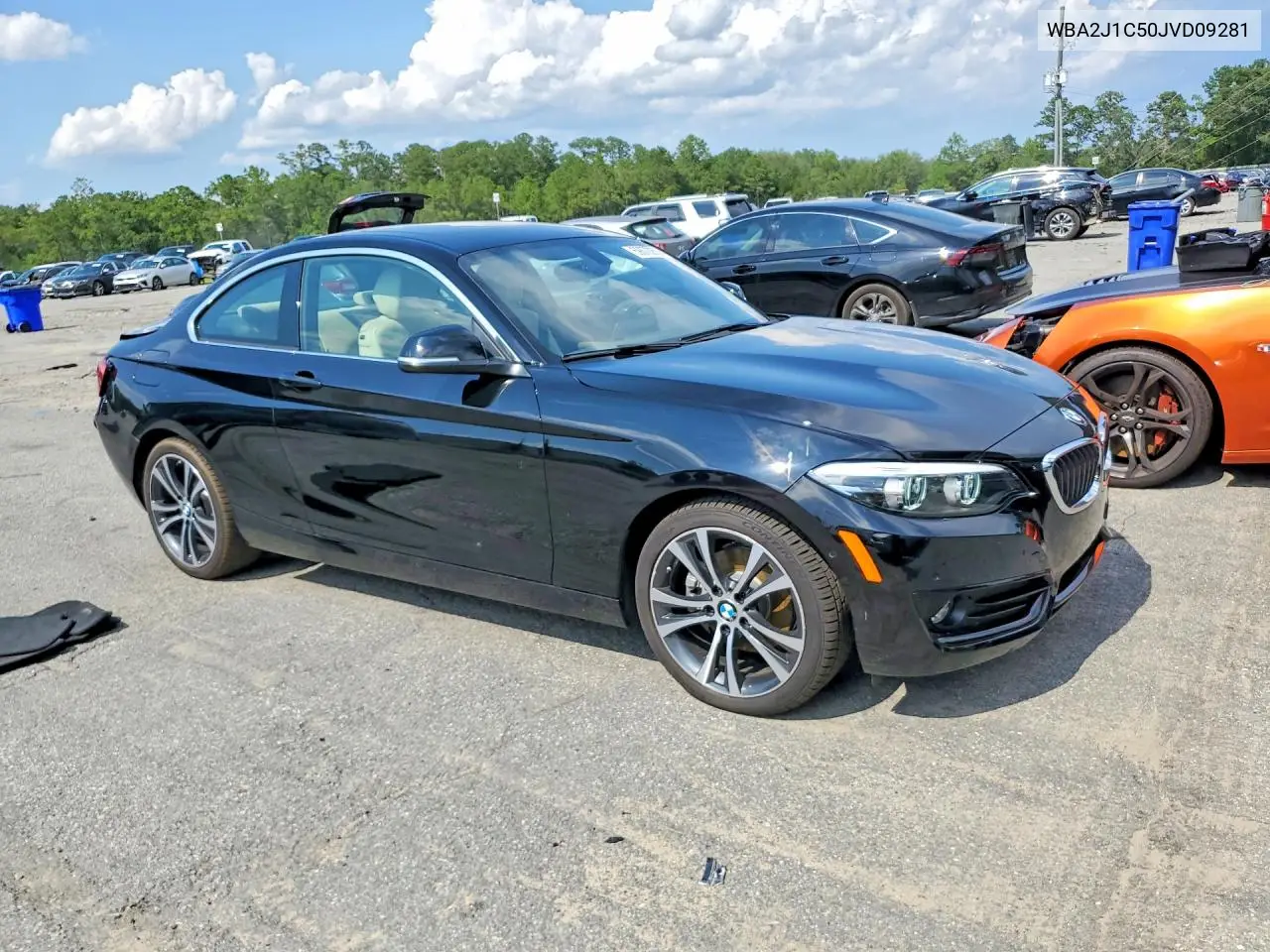 2018 BMW 230I VIN: WBA2J1C50JVD09281 Lot: 59370256