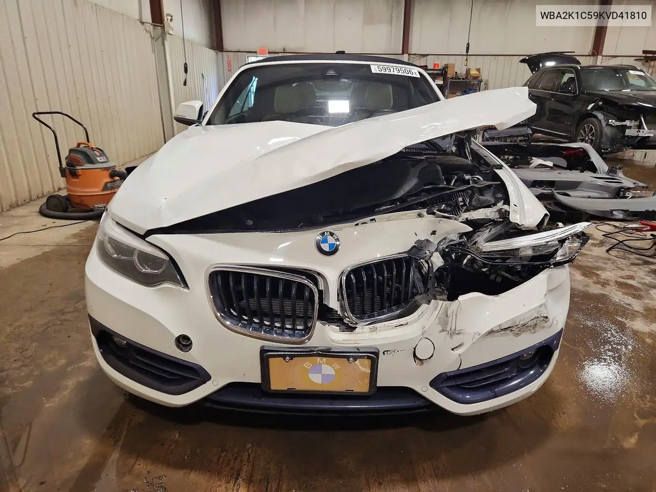 2019 BMW 230Xi VIN: WBA2K1C59KVD41810 Lot: 59979506
