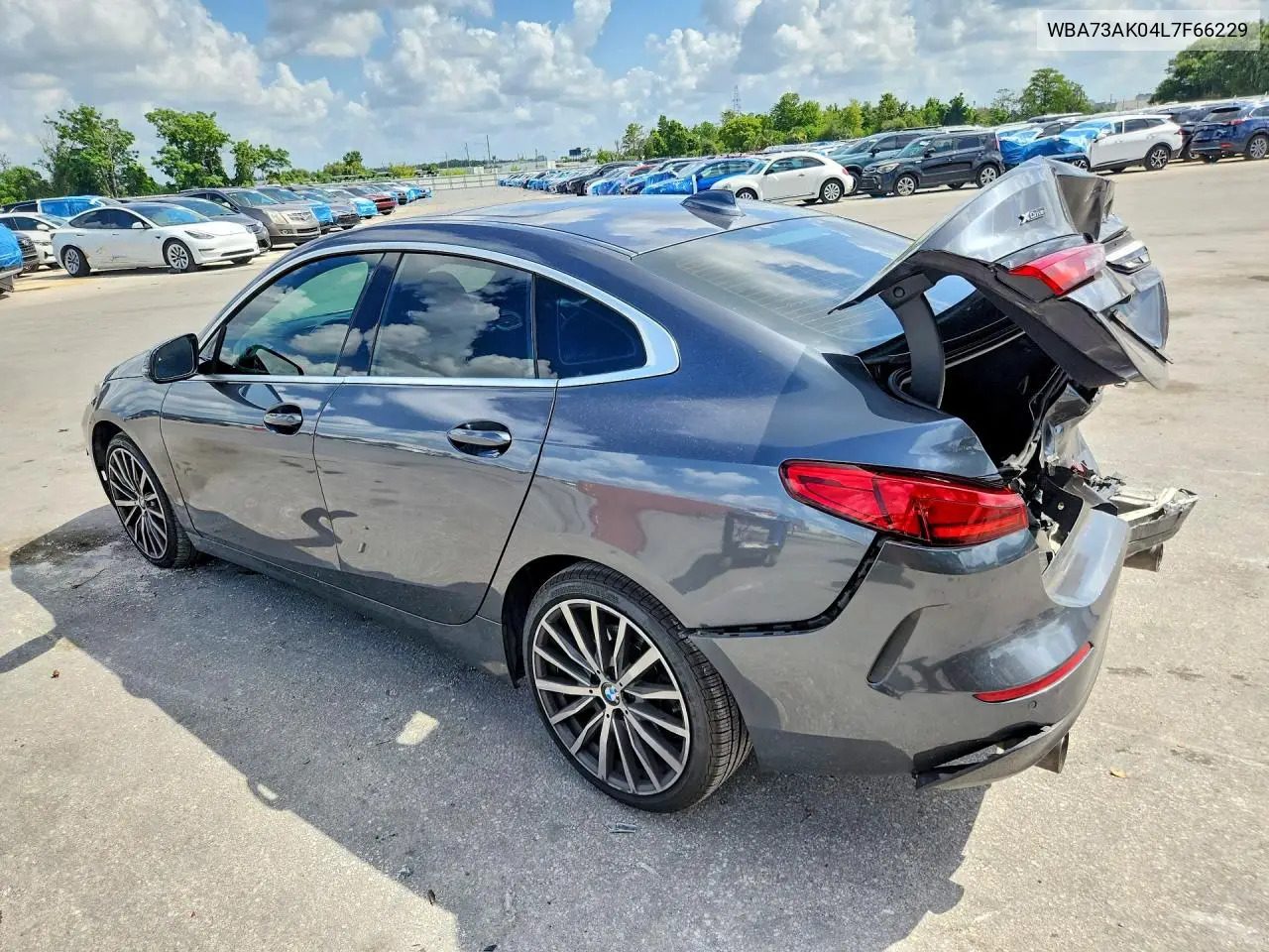 2020 BMW 228Xi VIN: WBA73AK04L7F66229 Lot: 59143316