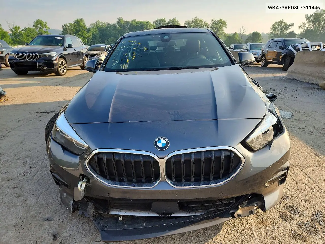 2020 BMW 228Xi VIN: WBA73AK08L7G11446 Lot: 61226826