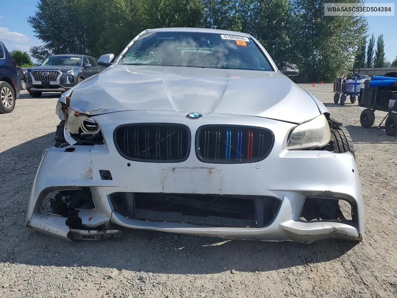 2014 BMW 528 I VIN: WBA5A5C53ED504384 Lot: 61805656