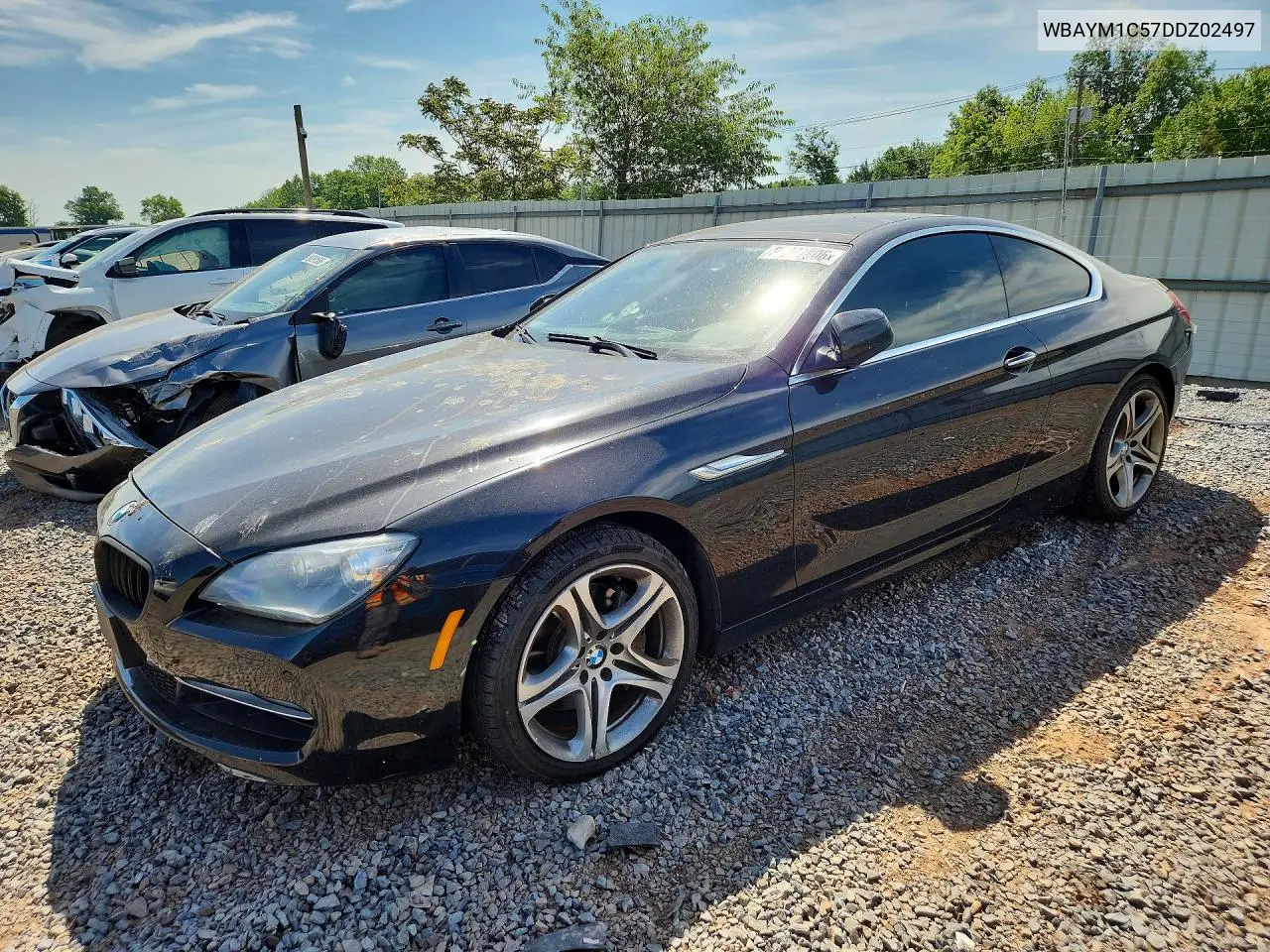 2013 BMW 650 Xi VIN: WBAYM1C57DDZ02497 Lot: 56277806