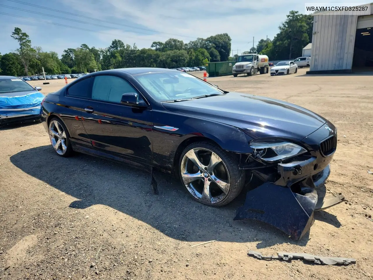 2015 BMW 650 Xi VIN: WBAYM1C5XFD325287 Lot: 59304146