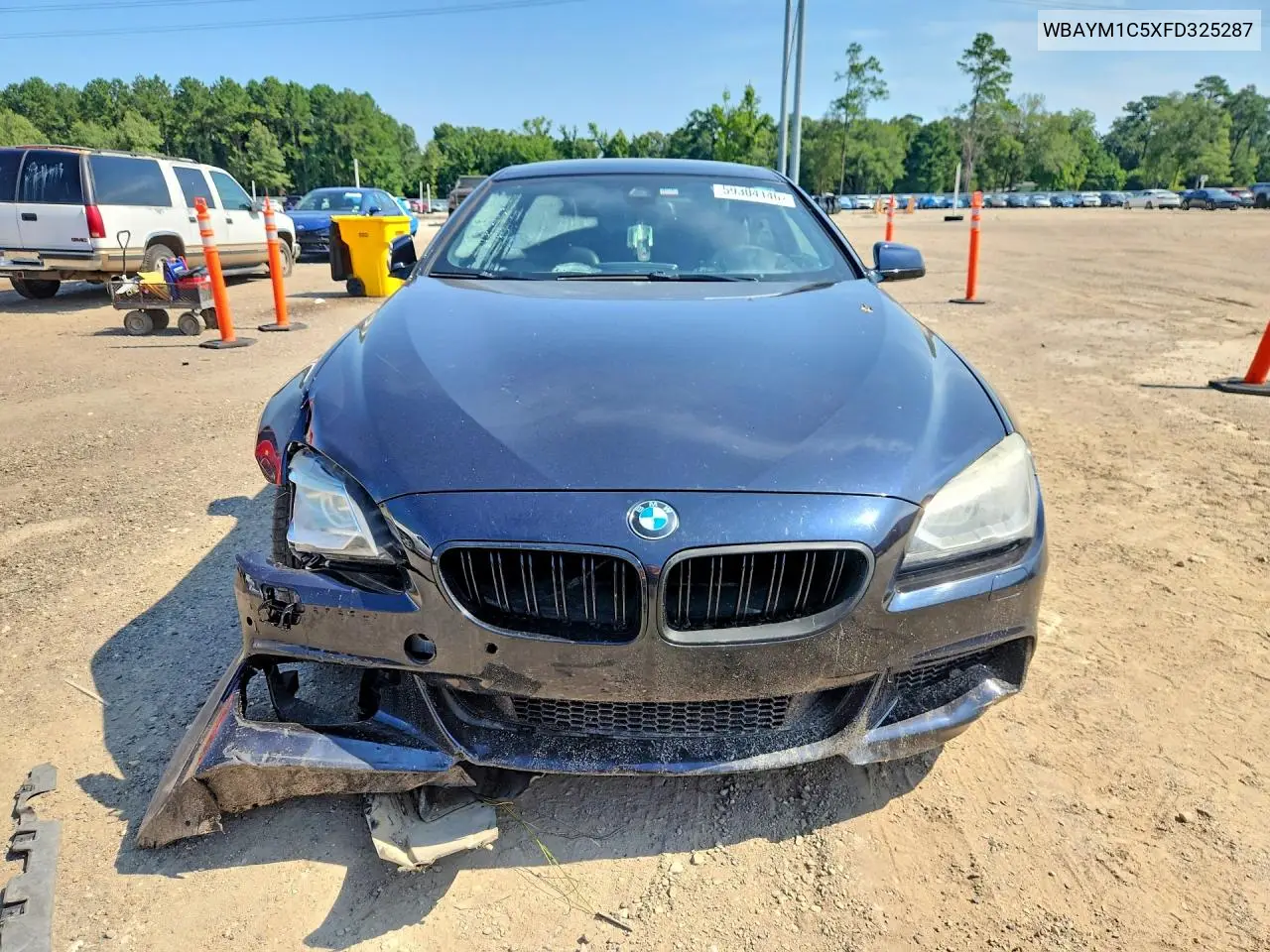 2015 BMW 650 Xi VIN: WBAYM1C5XFD325287 Lot: 59304146