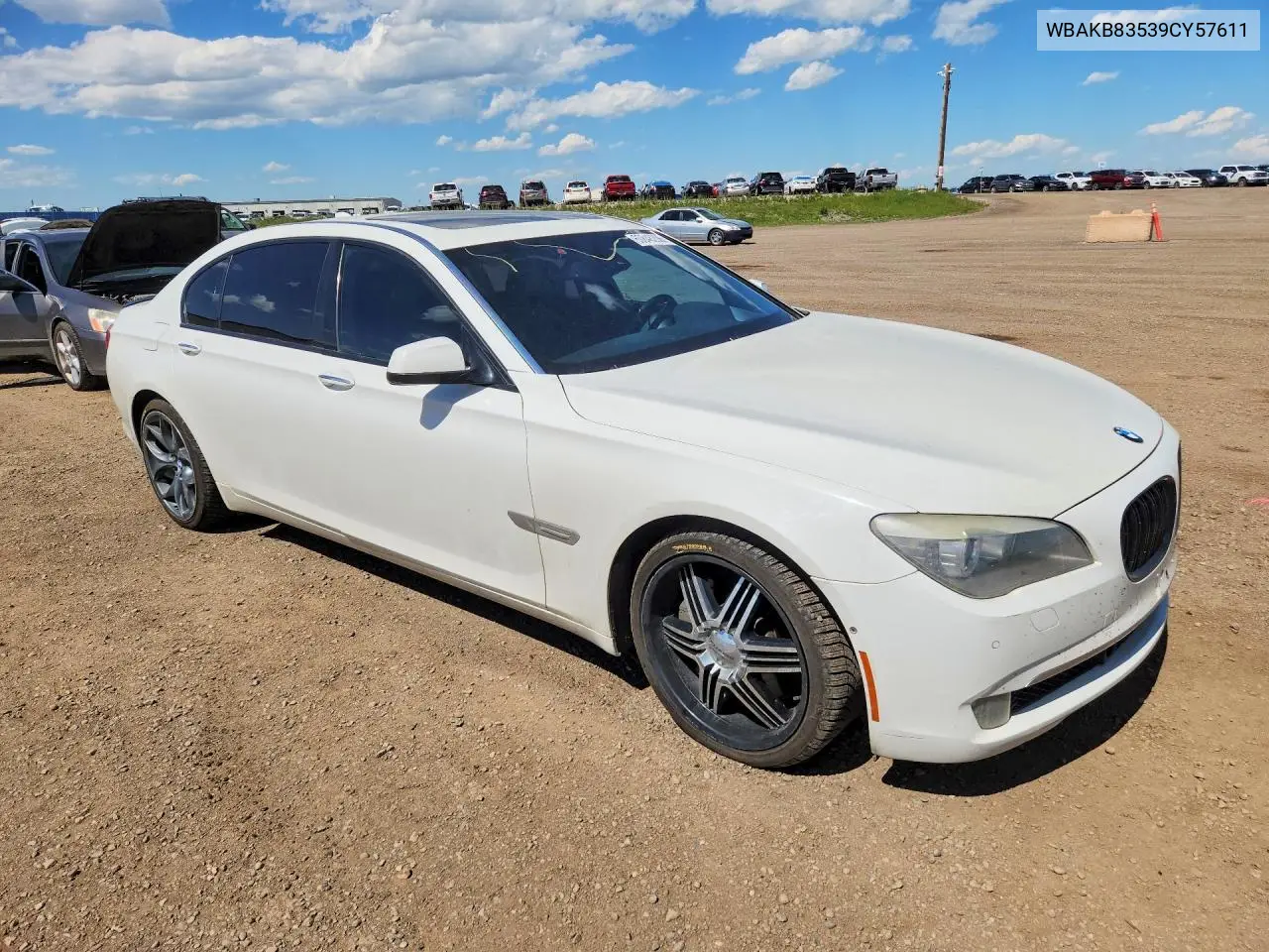 2009 BMW 750 Li VIN: WBAKB83539CY57611 Lot: 60848206