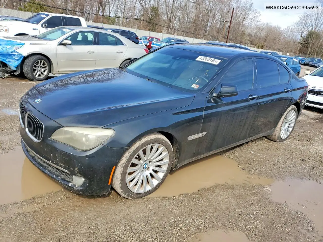 2012 BMW 750 Xi VIN: WBAKC6C59CC395693 Lot: 46200196