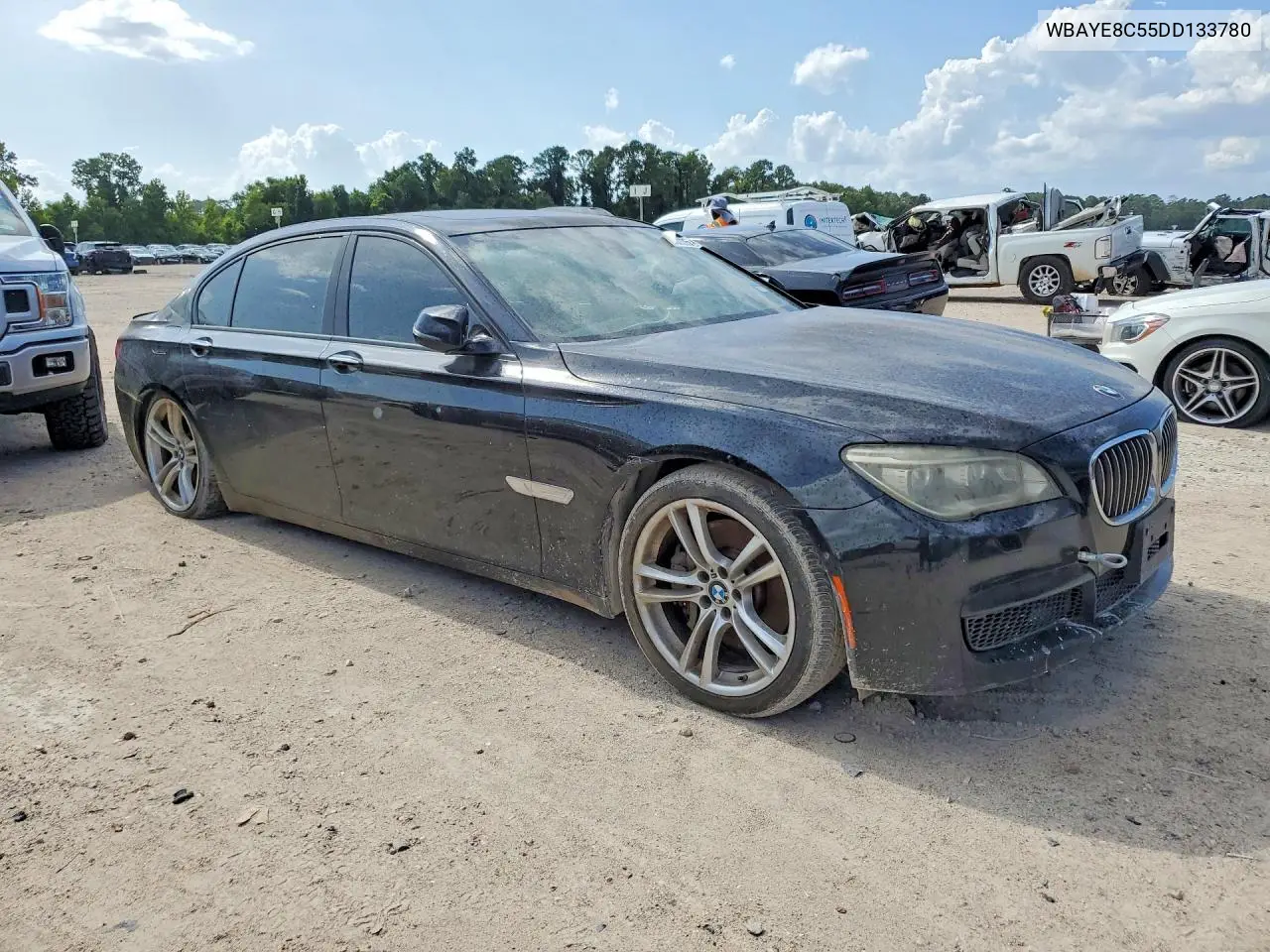 2013 BMW 750 Li VIN: WBAYE8C55DD133780 Lot: 60262306