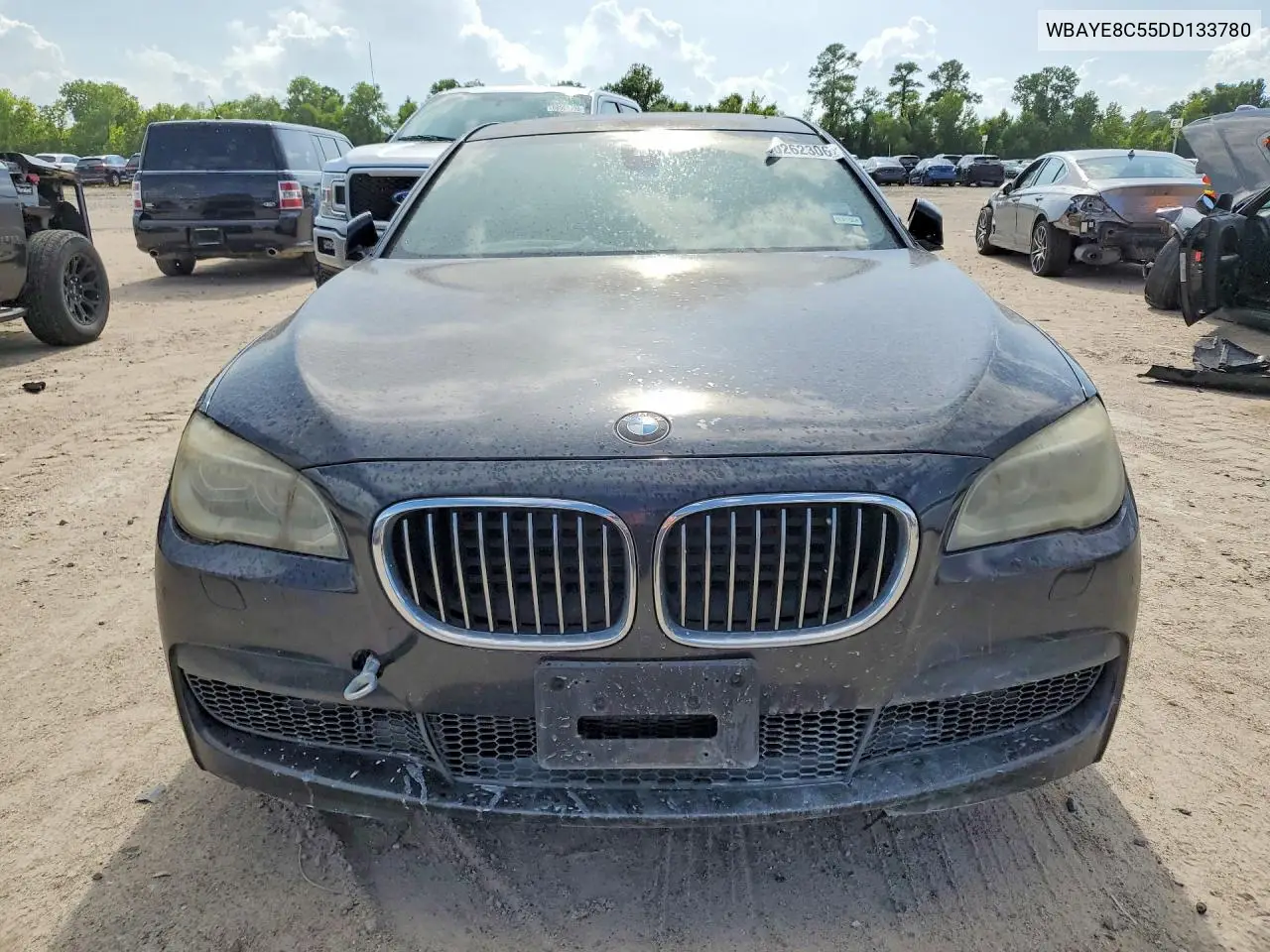 2013 BMW 750 Li VIN: WBAYE8C55DD133780 Lot: 60262306