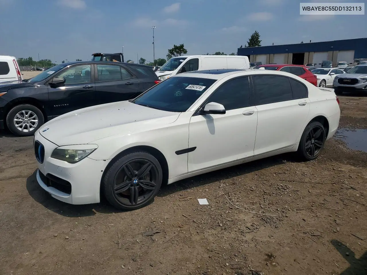 2013 BMW 750 Li VIN: WBAYE8C55DD132113 Lot: 60641416