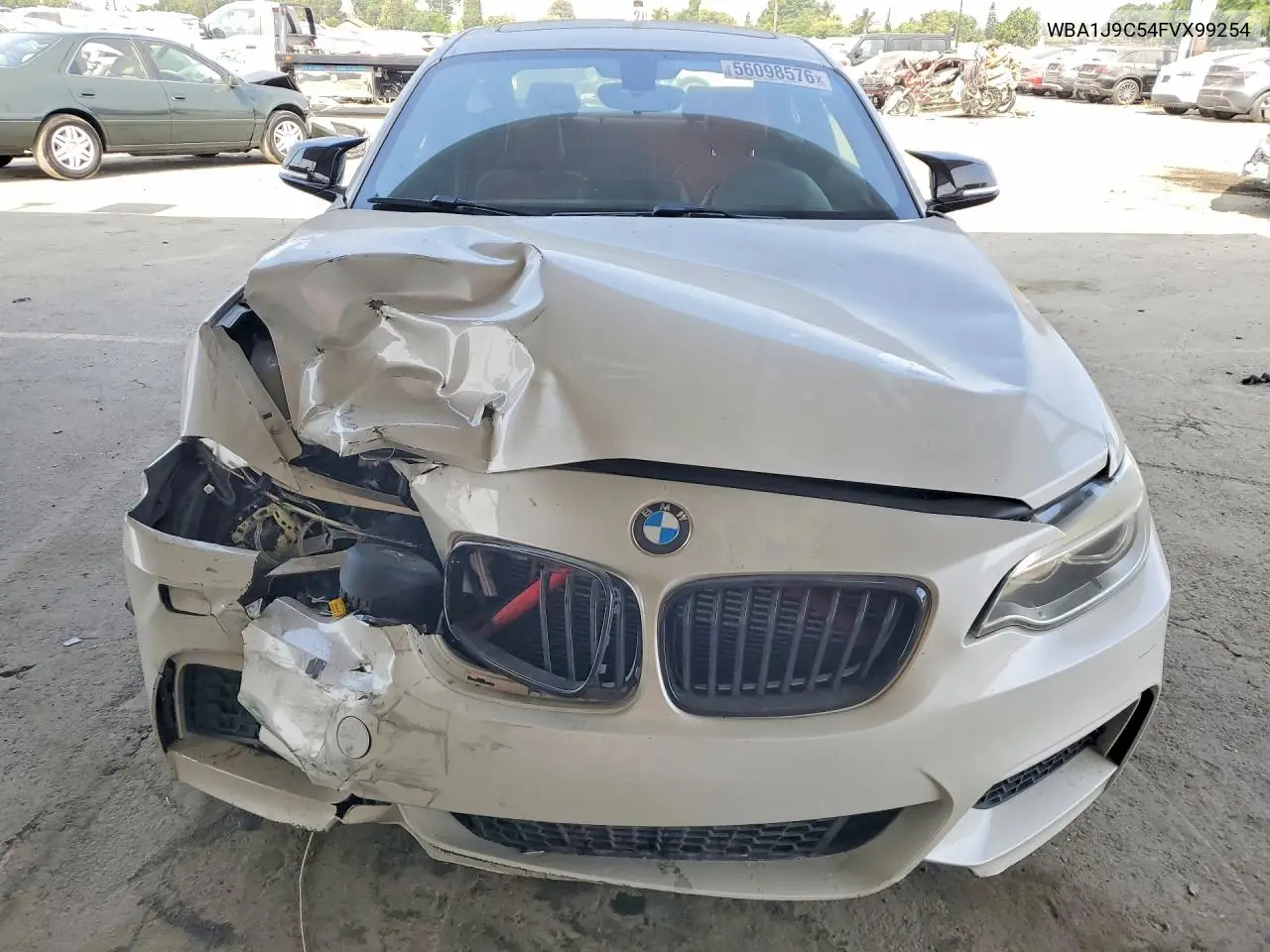 2015 BMW M235Xi VIN: WBA1J9C54FVX99254 Lot: 56098576