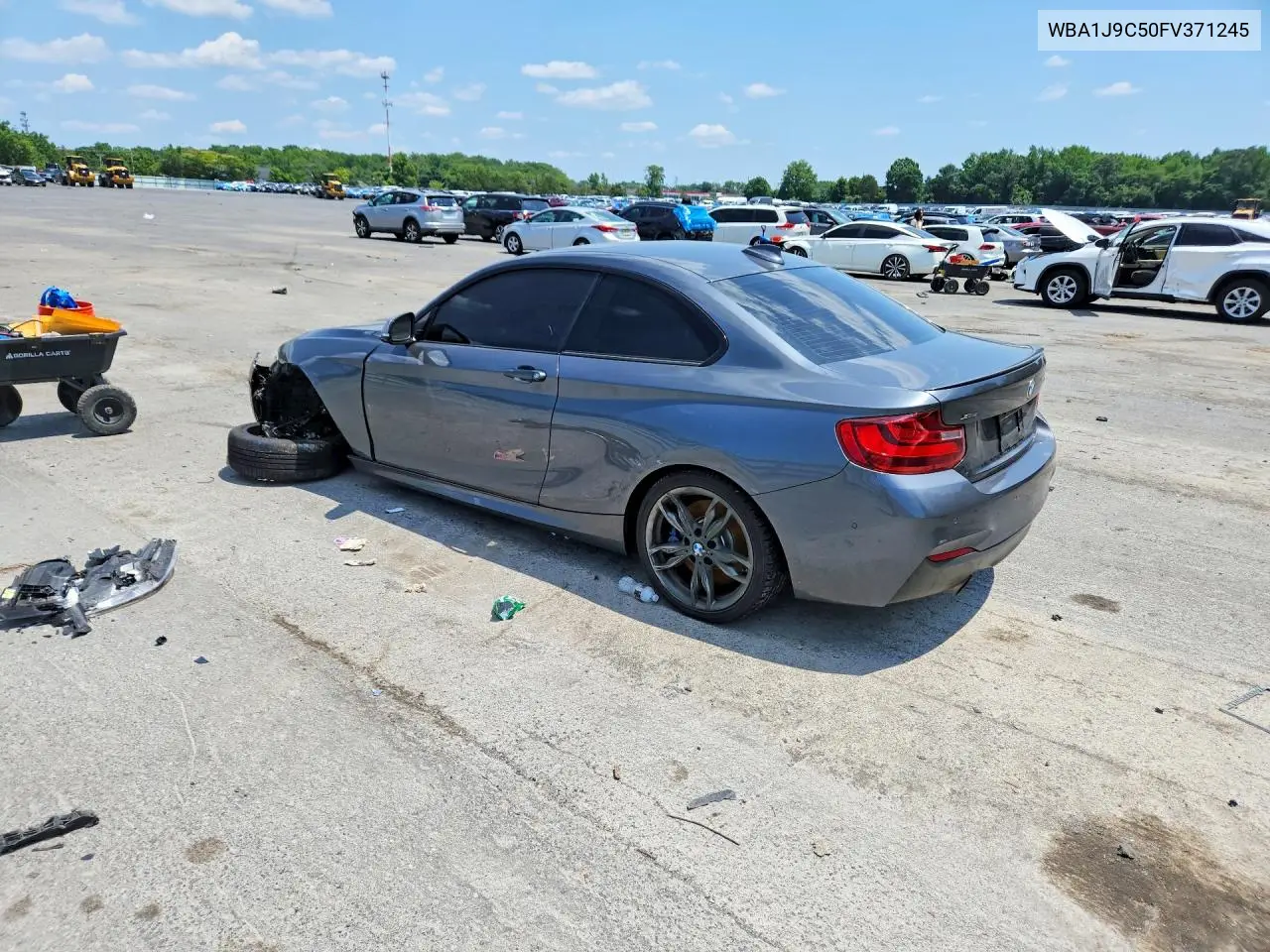 2015 BMW M235Xi VIN: WBA1J9C50FV371245 Lot: 60188916